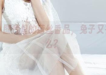 丽柜 – 图片里的莲丝香品，兔子又在说什么？