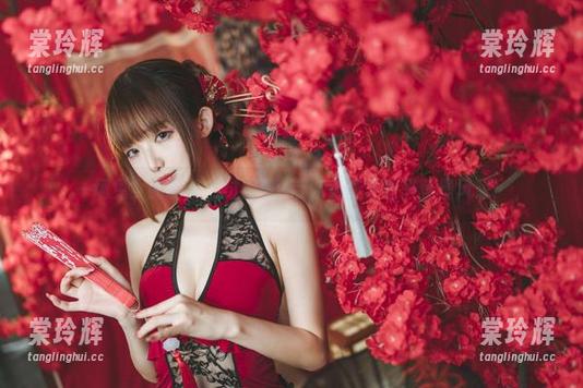 封疆疆v 一场兔女郎的梦,封疆疆v带你免费下载兴登堡风采!